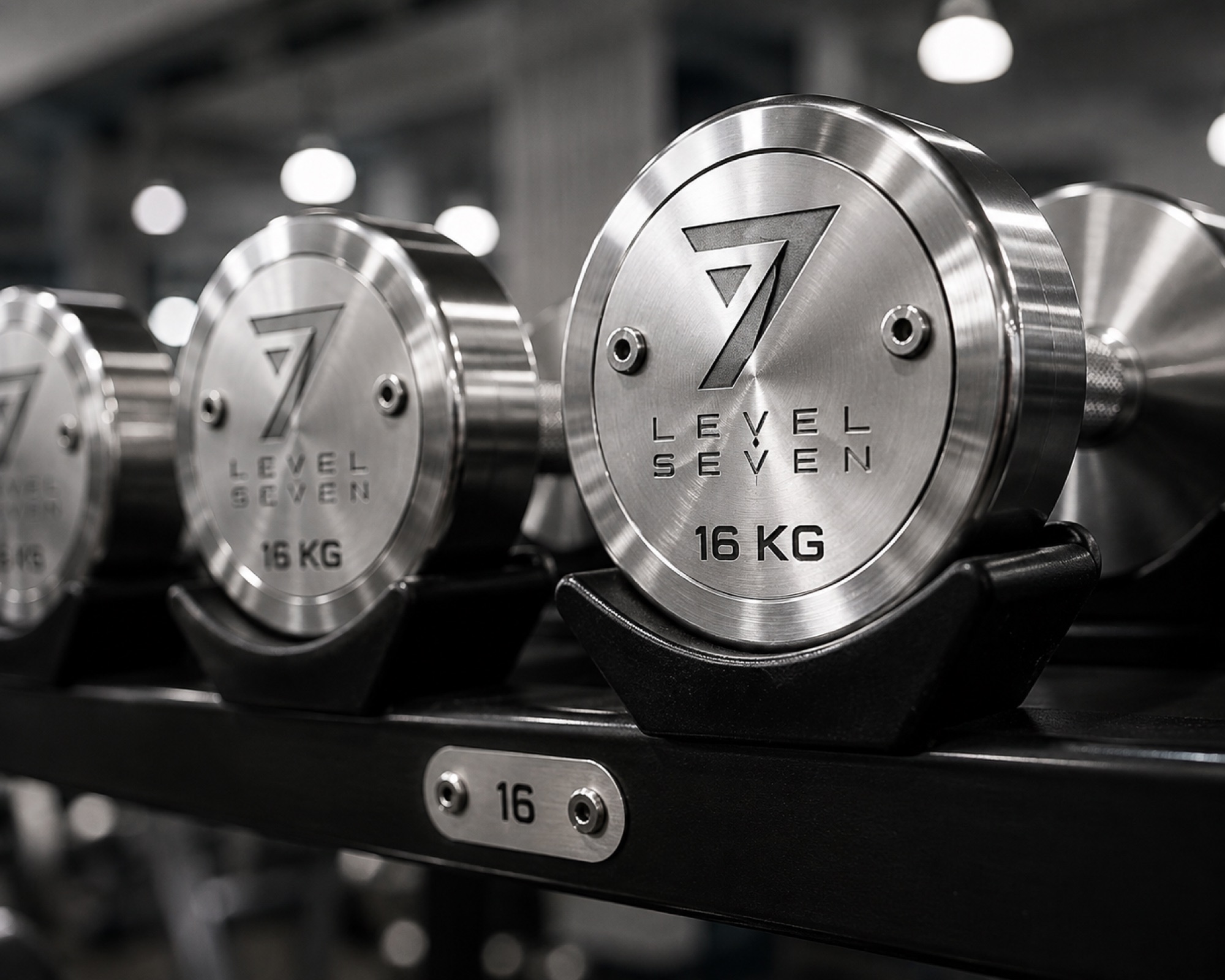 Level Seven engraved dumbbells