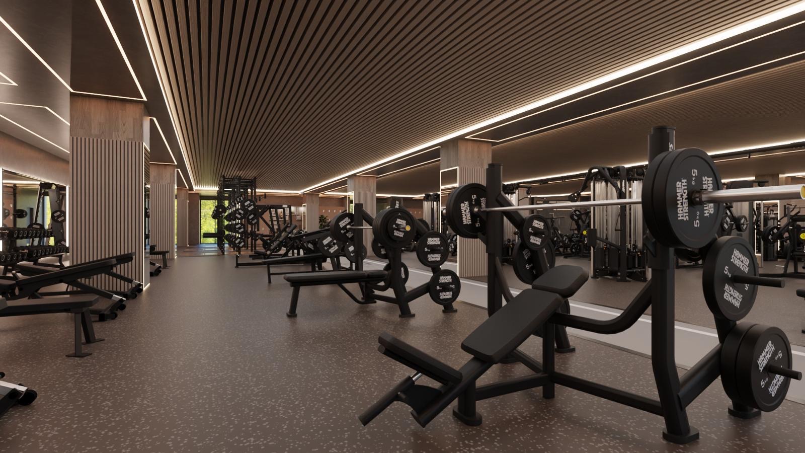 Olympic benches and bars