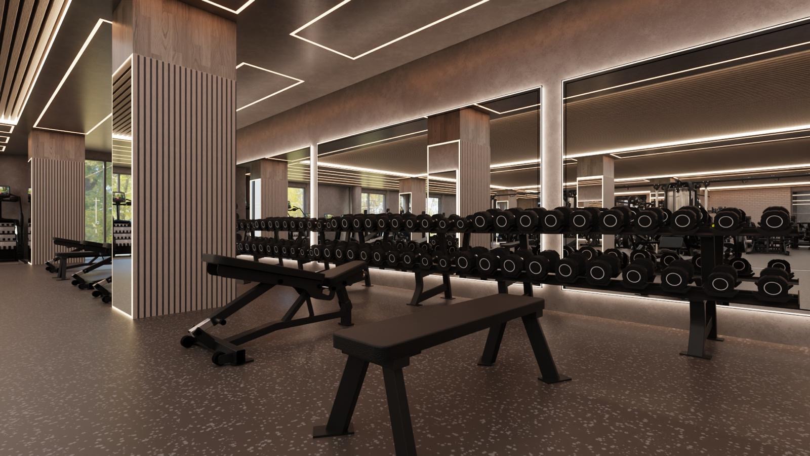 Dumbbell racks and mirrors
