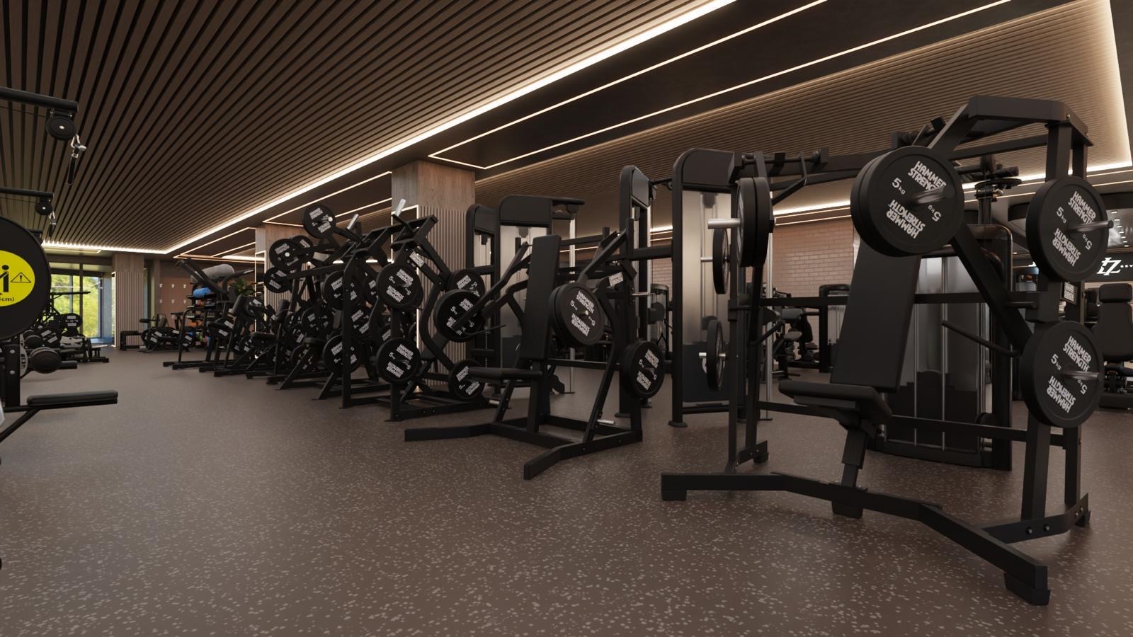 Hammer Strength machines